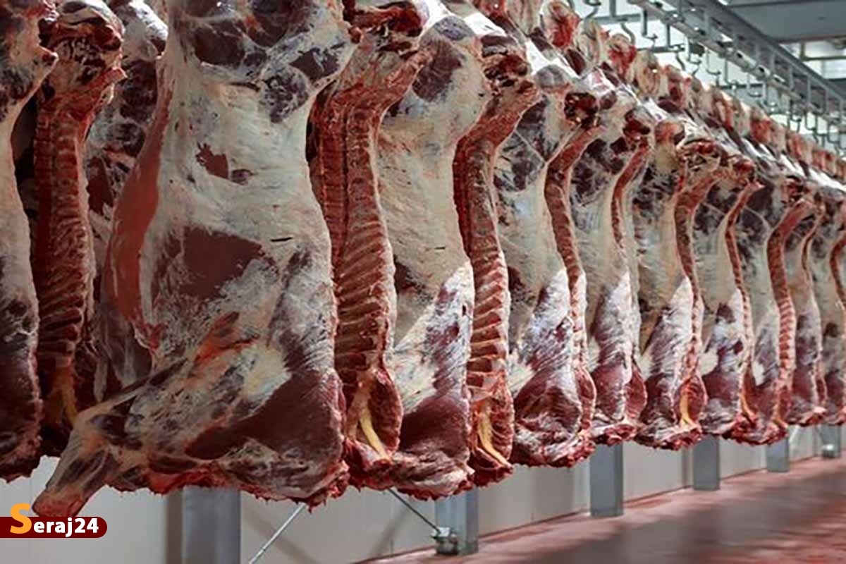 آغاز توزیع گوشت | کاهش ۱۵۰ هزار تومانی قیمت گوشت قرمز