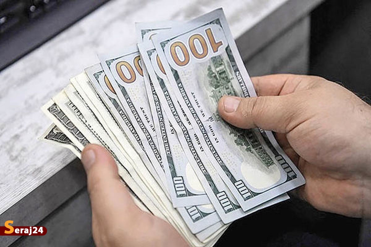 علت نوسانات ارز | نفع ارز دولتی در جیب فولادی ها و پتروشیمی ها
