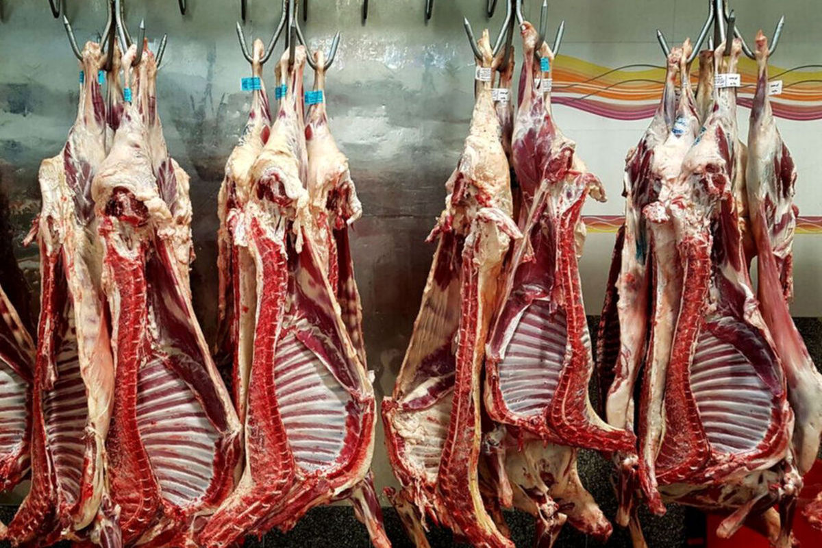 کاهش قیمت گوشت |عرضه دو برابری گوشت گرم گوسفندی
