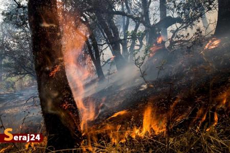 پرهیز از افروختن آتش در مناطق جنگلی و حفاظت شده گیلان