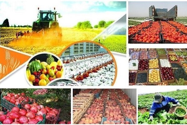 تأمین امنیت غذایی | تثبیت طرح «تامین پایدار غذای اساسی»