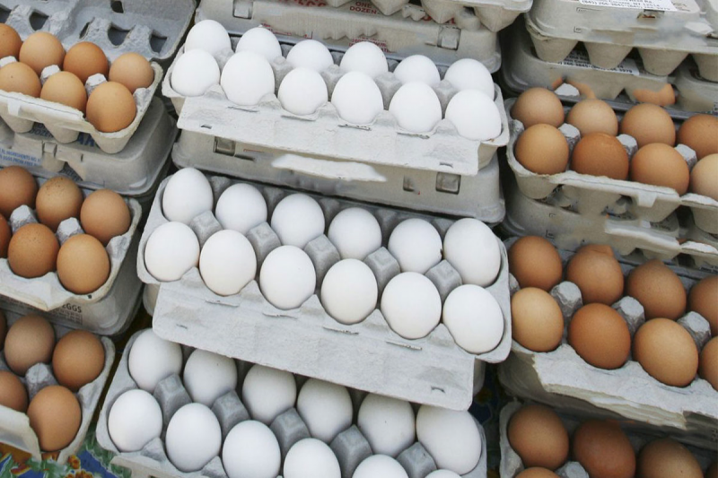 ‌تخم‌مرغ هم پس از مرغ گران شد
