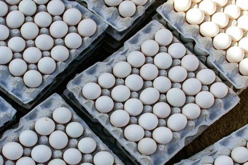 برخورد با گرانفروشان | قیمت گوشت مرغ و تخم مرغ افزایشی ندارد