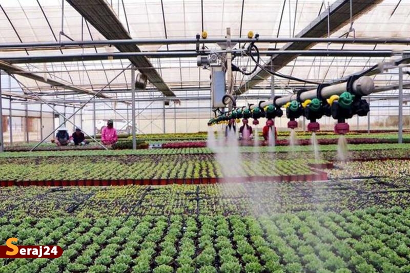 راه اندازی گلخانه های هوشمند مبتنی بر اینترنت اشیا در سراسر کشور 
