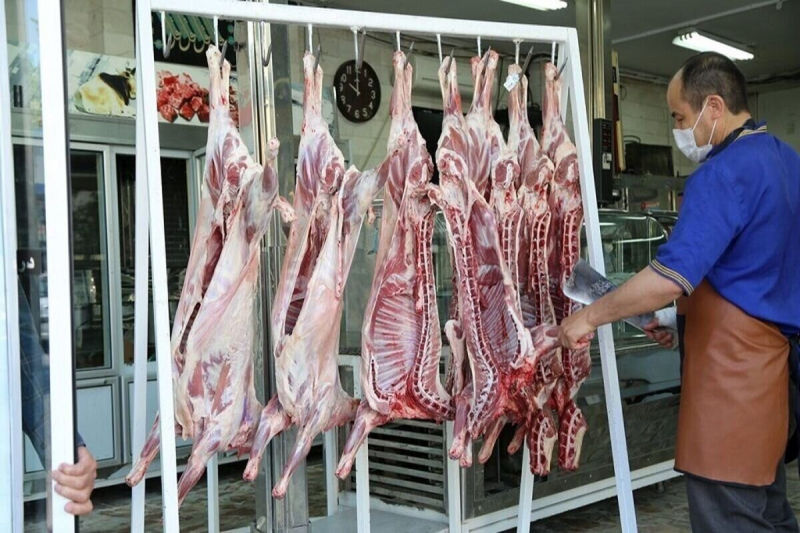 واردات دام | گوشت ارزان می شود؟
