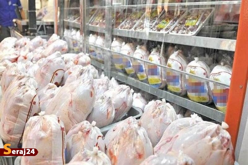 ورود مرغ گرم به استان تهران 4 برابر شد/ توزیع مرغ در میادین کمتر از قیمت مصوب 