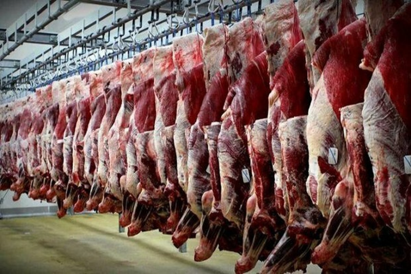 سنگ اندازی دلالان | چرا با کاهش قیمت دام زنده گوشت ارزان نشد‌