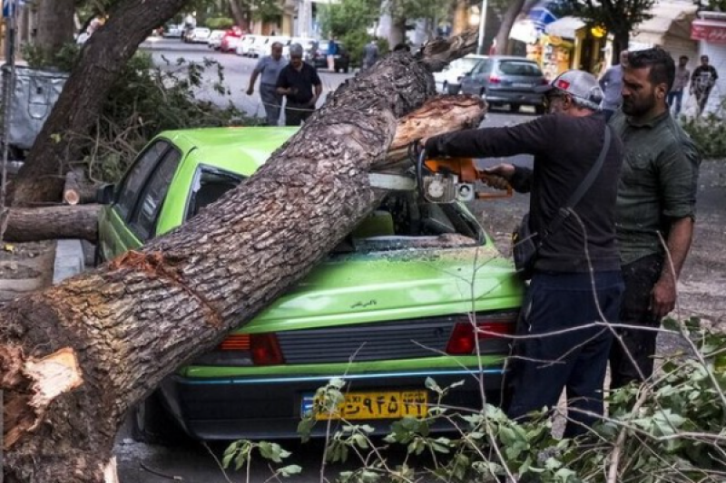  خسارات طوفان در تهران + تصاویر 