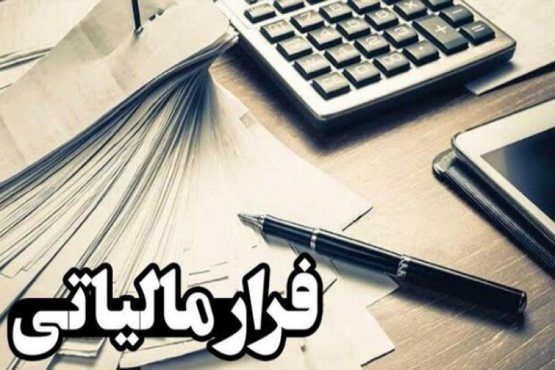 دانهدرشتهای فرار مالیاتی به دنبال موجسواری هستند!