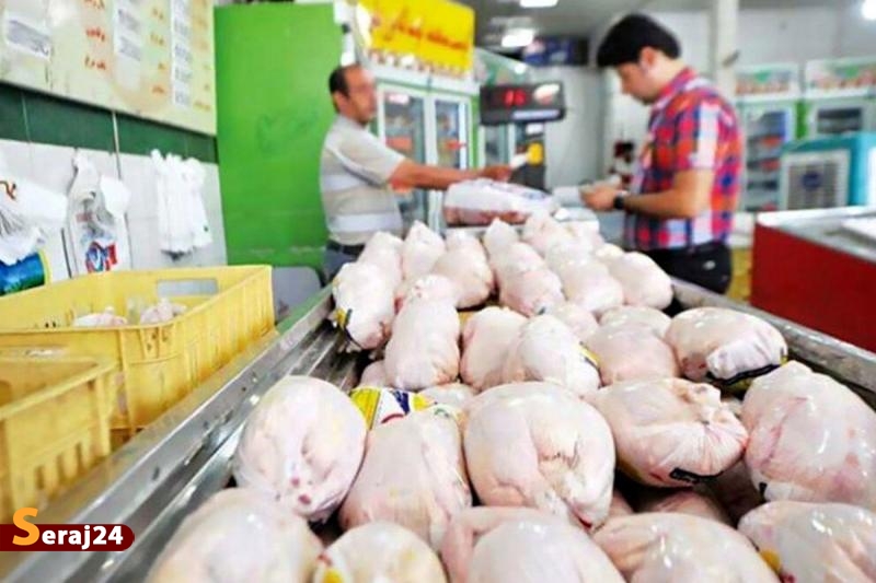 روزانه 1300 تن گوشت مرغ در پایتخت توزیع و مصرف می‌شود 