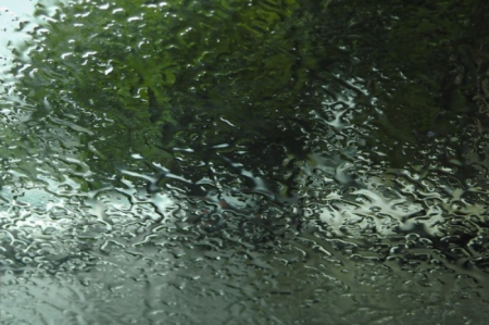 ترنم بارش تابستانی باران در گیلان + تصاویر