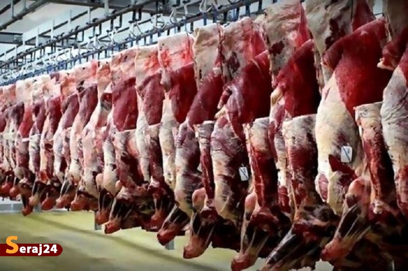 چالش همیشگی | پاسکاری توپ اهمال کاری ترخیص گوشت برزیلی 