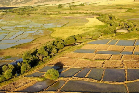 تغییر کاربری! | خُرد‌شدن زمین‌های کشاورزی و تهدید امنیت غذایی
