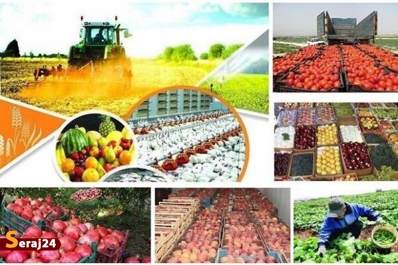 خرید توافقی و تضمینی ۴ میلیون تن محصولات کشاورزی