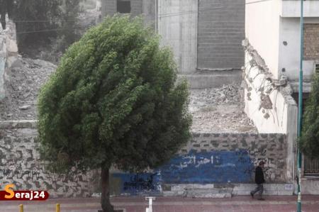 وزش باد شدید و گرد و خاک در تهران