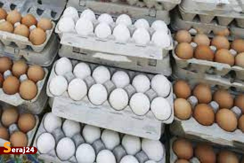درخواست افزایش ۱۰ هزار تومانی قیمت تخم مرغ 