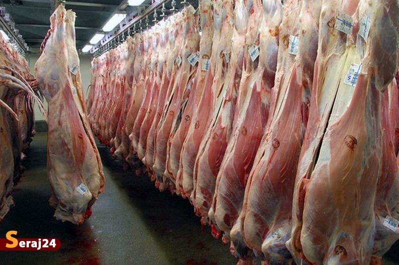 توزیع گوشت قرمز وارداتی در فروشگاه ها