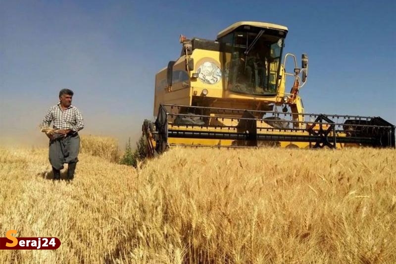 مطالبات گندم کاران تا پایان مهر تسویه میشود