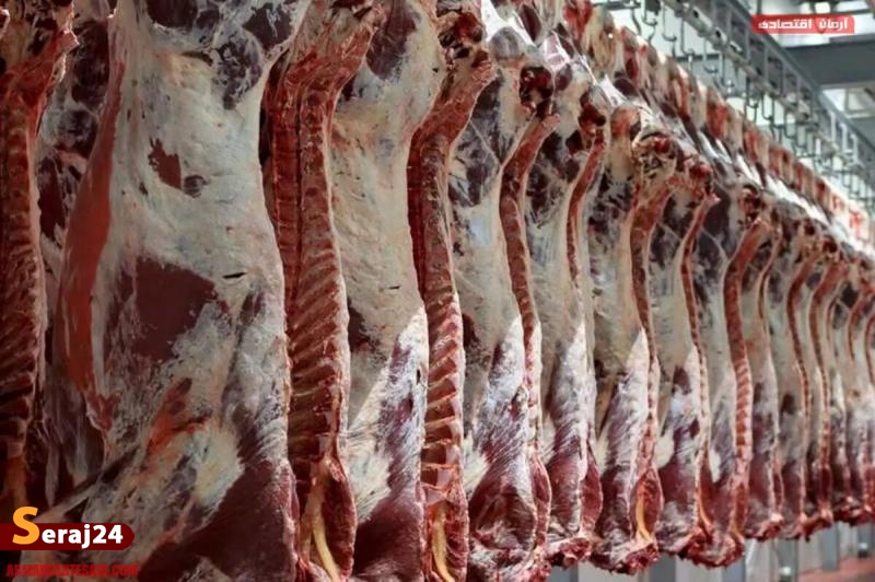 چرا گوشت وارداتی ارزانتر از داخلی فروخته میشود؟
