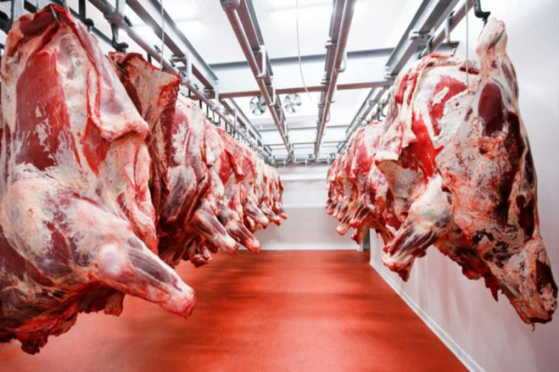 تدبیر دولت | پایداری در بازار مرغ و گوشت قرمز با تولید قراردادی