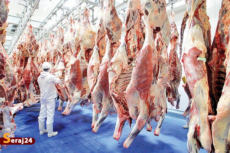 راهکار دستیابی به پایداری تولید گوشت قرمز چیست؟