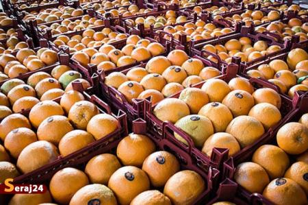 تدبیر دولت | تداوم ثبات قیمت میوه و صیفی در بازار