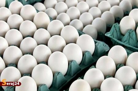 صادرات ۱۱۰ هزار تن تخم مرغ تا پایان آبان ماه