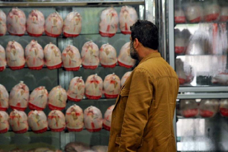 دولت برای ذخیره‌سازی و صادرات 40 هزار تن مرغ مازاد‌ برنامه‌ریزی کند‌ 