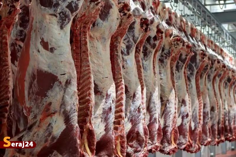 وفور دام | افزایش قیمت گوشت در بازار موقتی است