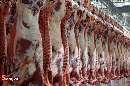 وفور دام | افزایش قیمت گوشت در بازار موقتی است