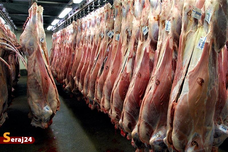 علت تشکیل صف | ورود روزانه ۲۰۰ تن گوشت گرم  به کشور