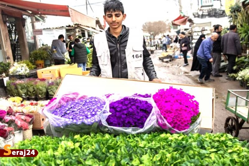 بازار گل در آخرین روز سال + تصاویر