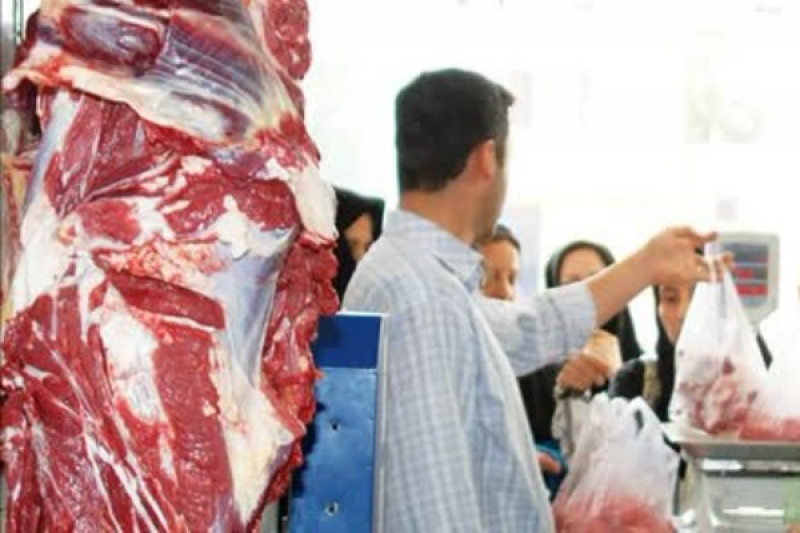 تامین نهاده | چراغ سبز جهادکشاورزی به بازار گوشت
