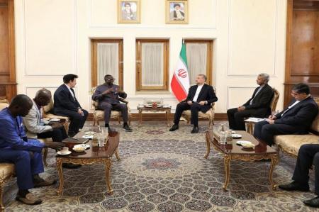 توسعه همه جانبه مناسبات با آفریقا از اولویت‌های سیاست خارجی ایران است 