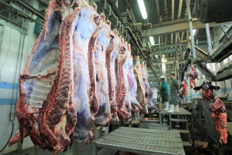 افزایش عرضه دام و کاهش قیمت گوشت 