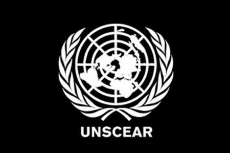 اعلام یک دقیقه سکوت به احترام شهادت رئیس جمهور در جلسه UNSCEAR