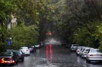 بارش شدید باران در تهران/ مردم به مناطق کوهستانی نروند