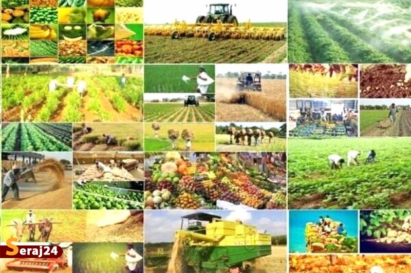میراث رئیسی | در کدام کالاهای اساسی خودکفا شدیم؟
