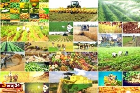 میراث رئیسی | در کدام کالاهای اساسی خودکفا شدیم؟