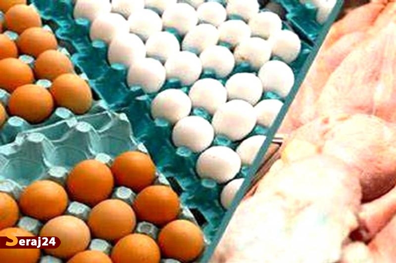 حلقه‌های زنجیره صنعت مرغ بازسازی شد/ تولید مرغ و تخم‌مرغ بر مدار ثبات