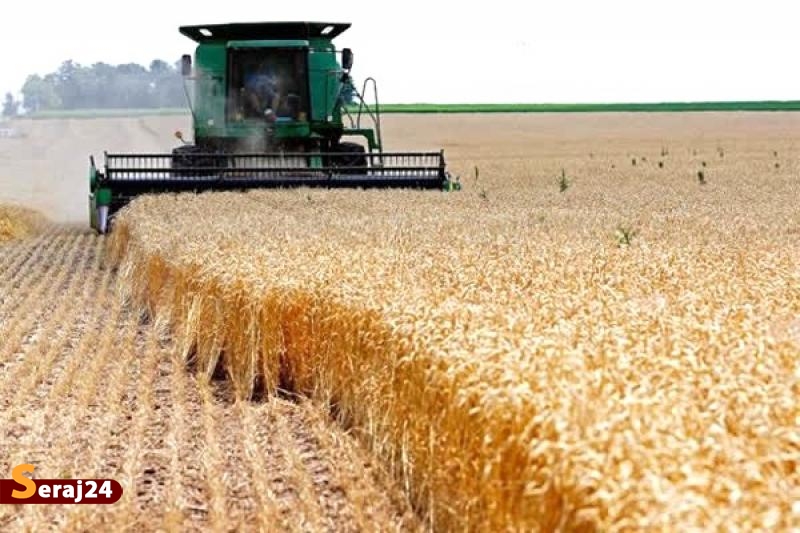 تدبیر دولت | خرید ۴ میلیون تن گندم از کشاورزان