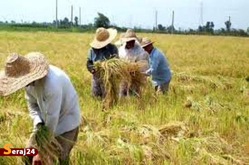 اعطای پاداش نقدی تا ۱۰ میلیون تومان به کشاورزان