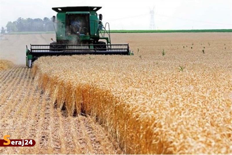  امسال کشور نیاز به واردات گندم ندارد