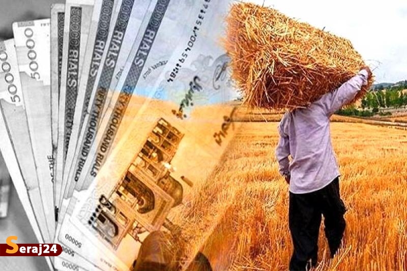 تدبیر دولت | واریز ۱۲.۵ همت به حساب گندمکاران