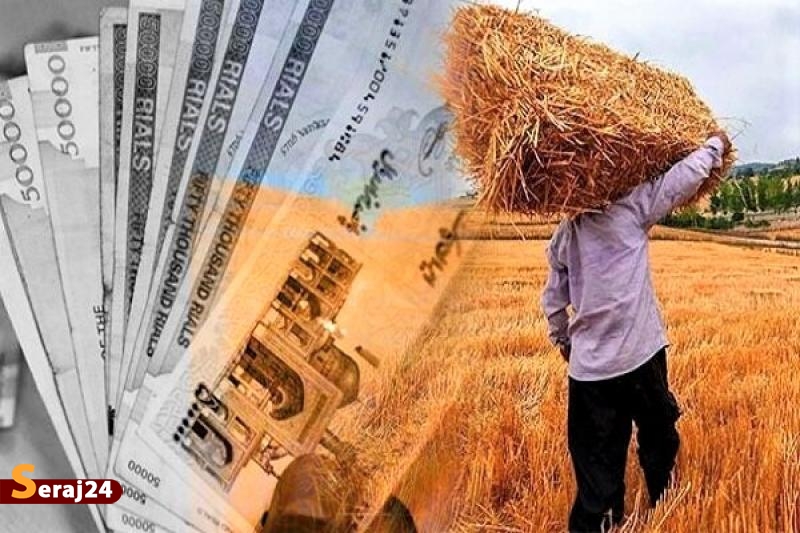 رشد خرید | خرید ۷.۲ میلیون تن گندم از کشاورزان