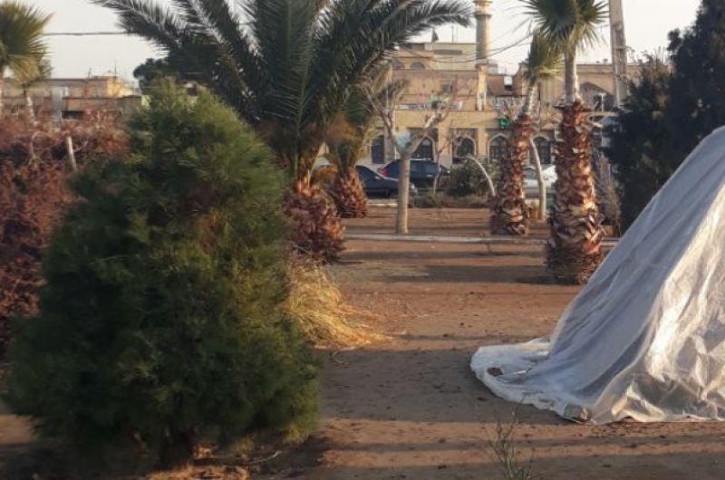 خانواده چهار نفره بی خانمان در آستانه «شاه عبدالعظیم» +تصویر