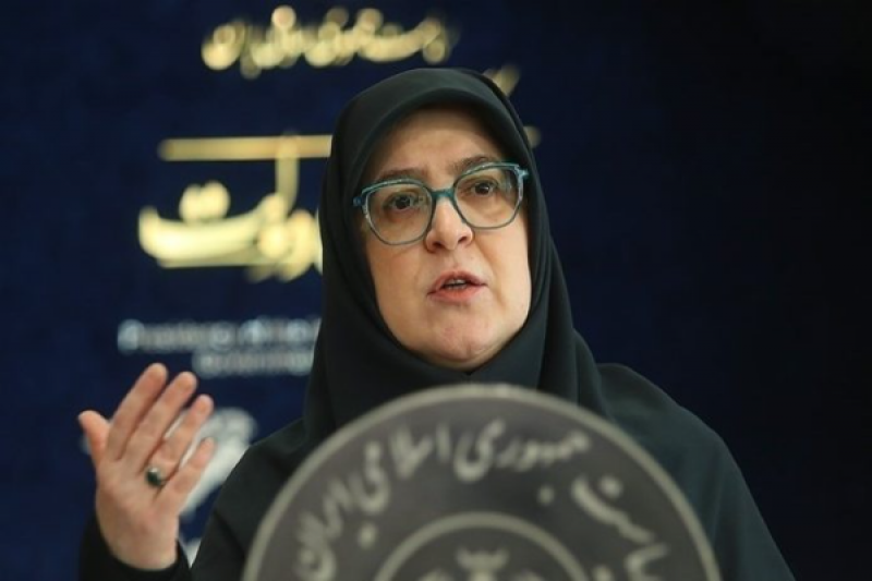 مهاجرانی: مشکلی در توزیع بنزین نداریم
