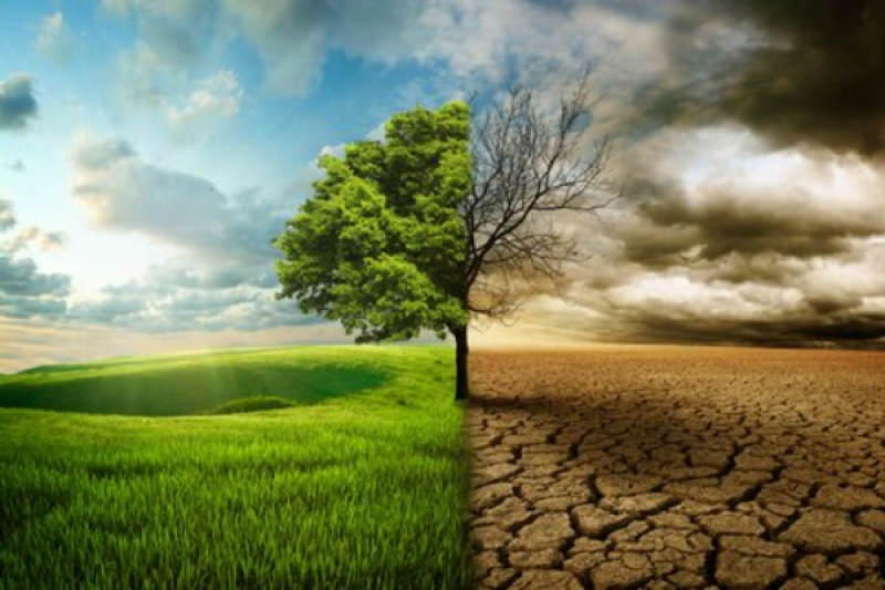 بی تدبیری و سوء مدیریت‌ وضعیت زیست زمین به هم ریخته است