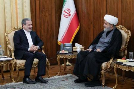 دیدار دبیرکل مجمع جهانی تقریب مذاهب اسلامی با عراقچی