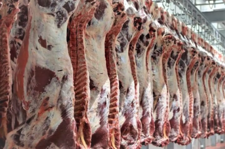 استمرار واردات | عوامل گرانی گوشت کدامند؟